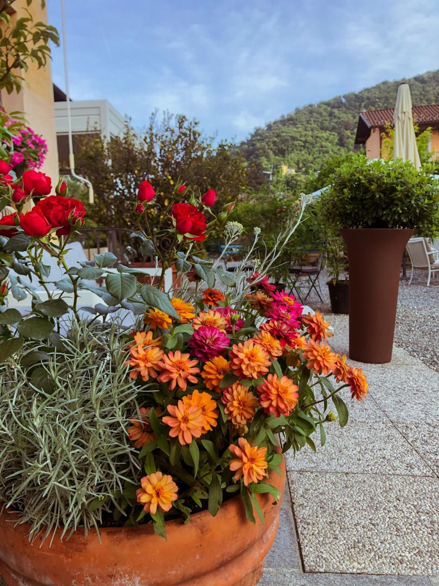 Hotel Antica Stallera Cannobio Εξωτερικό φωτογραφία
