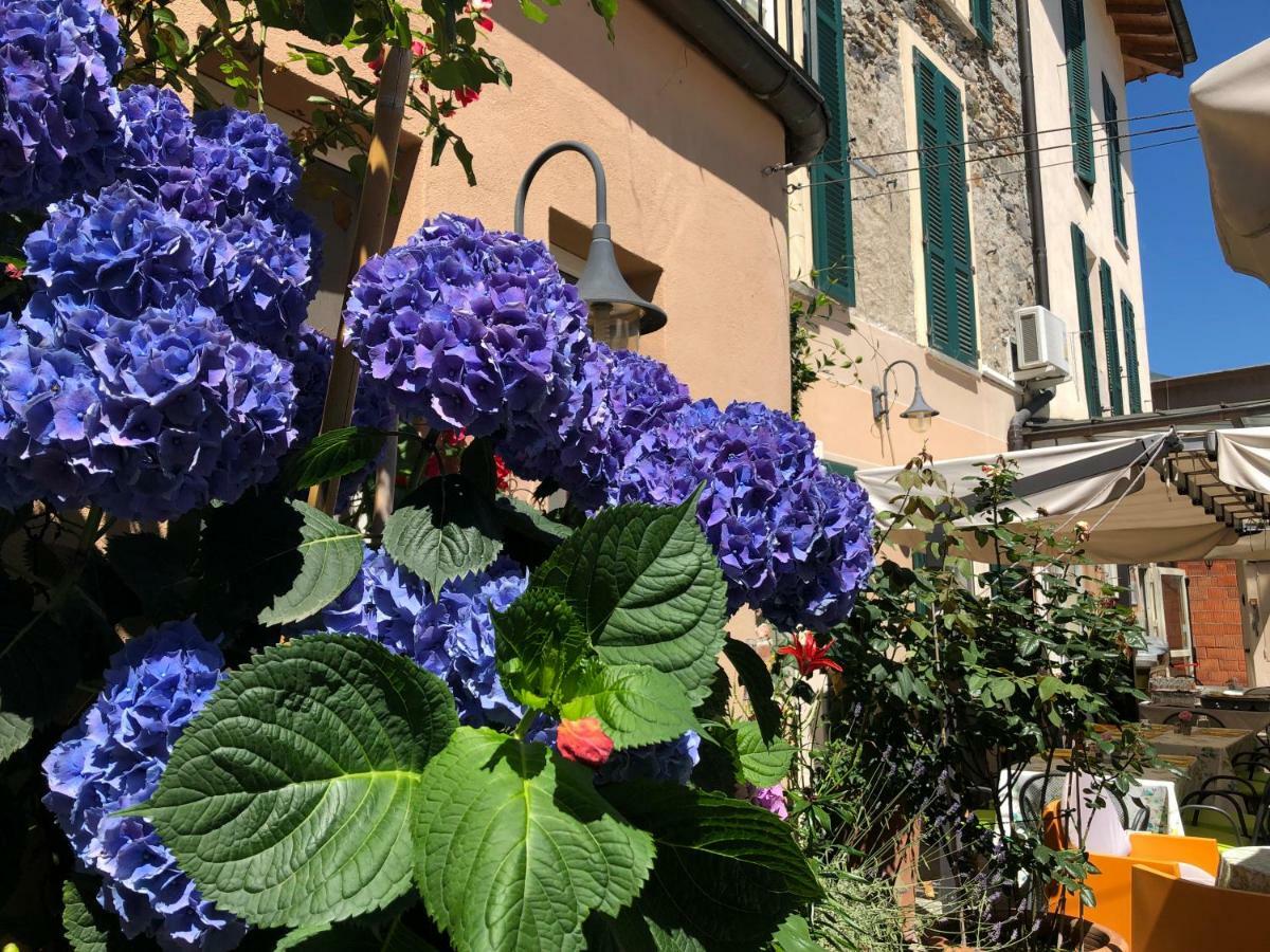 Hotel Antica Stallera Cannobio Εξωτερικό φωτογραφία